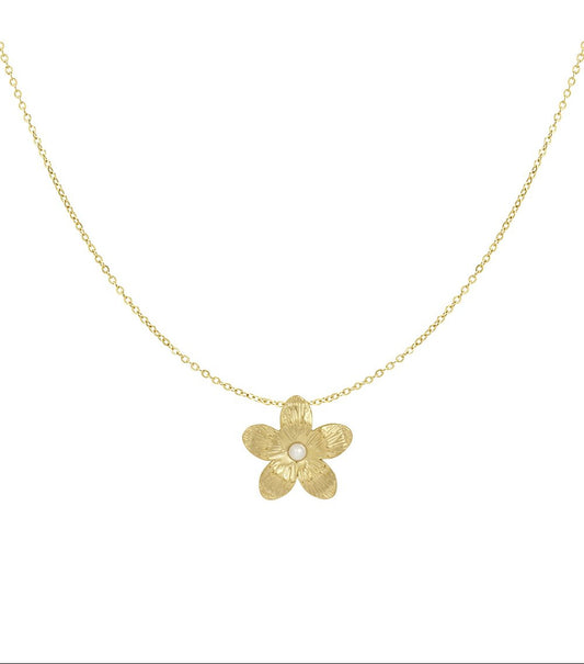 Goudkleurige Burst Bloem Ketting stainless steel ketting dames waterproof hypoallergeen