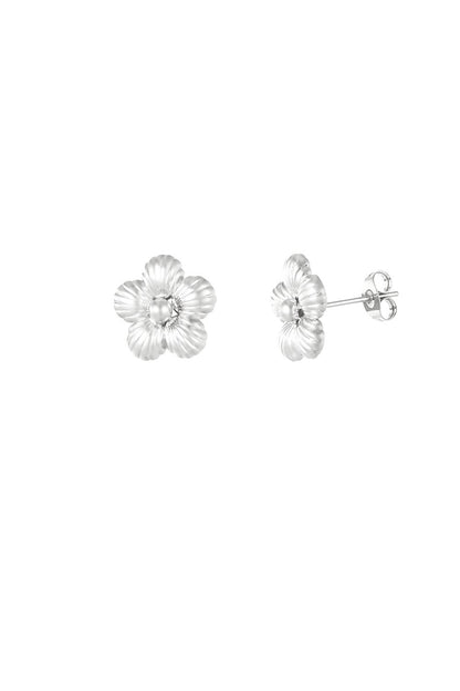 Silver Daisy Flower Earrings stainless steel earrings women's waterproof hypoallergeen