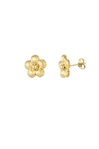 Gold Daisy Flower Earrings stainless steel earrings women's waterproof hypoallergeen