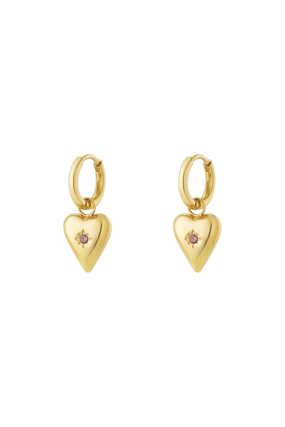 Geboortesteen Oorbellen Paars/Februari stainless steel oorbellen dames waterproof hypoallergeen