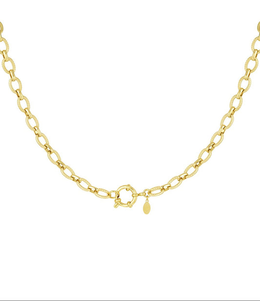 Goudkleurige Chunky Statement Choker Ketting stainless steel ketting dames waterproof hypoallergeen
