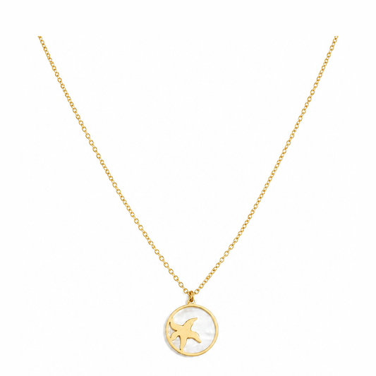 Gouden zeester parelmoer ketting van stainless steel, productfoto op witte achtergrond