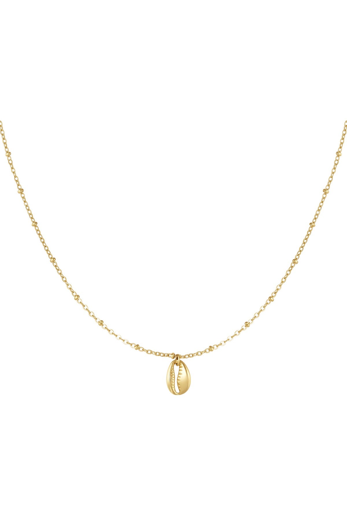 Shining Shell Shell Set Necklace + Bracelet