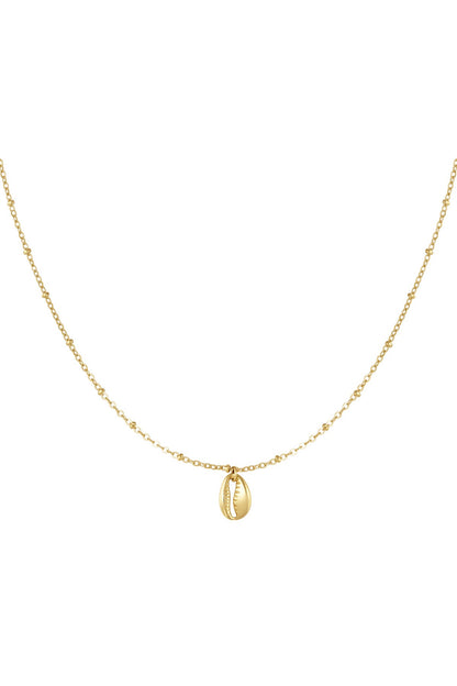 Shining Shell Shell Set Necklace + Bracelet