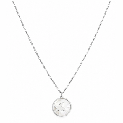 Zilveren zeester parelmoer ketting van stainless steel, productfoto op witte achtergrond