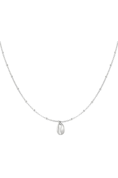 Shining Shell Shell Set Necklace + Bracelet